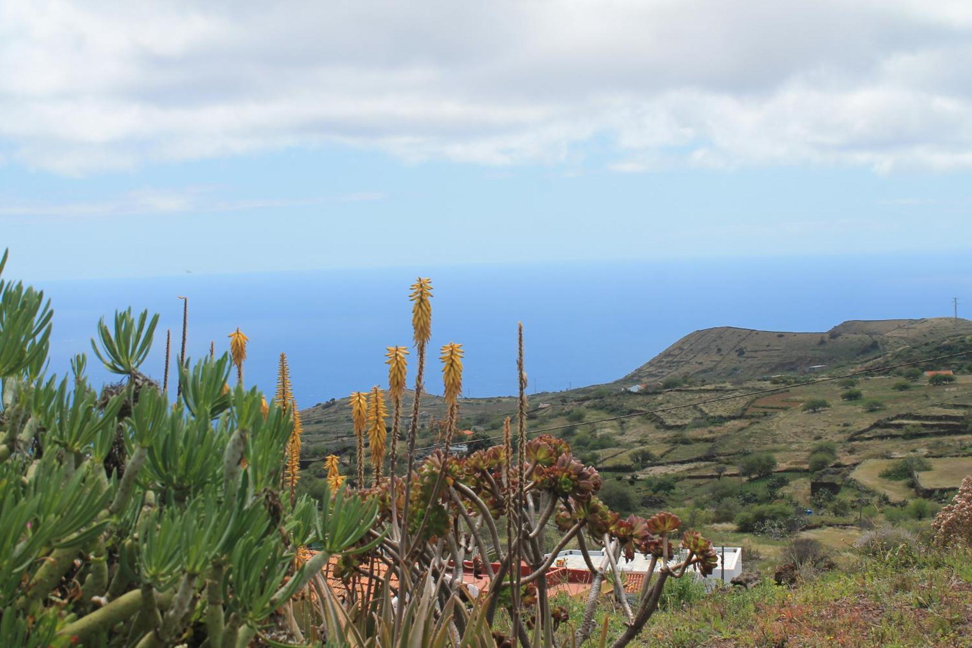 Casa Los Abuelos El Pinar  Buitenkant foto